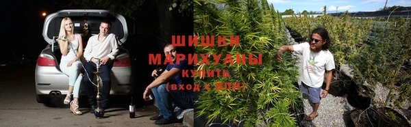 mdpv Осинники