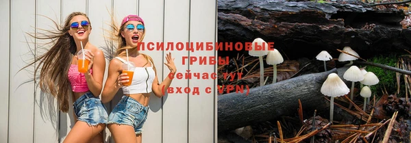 2c-b Абдулино